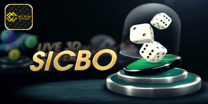 How to play sicbo and winning strategies - Basic Gameplay