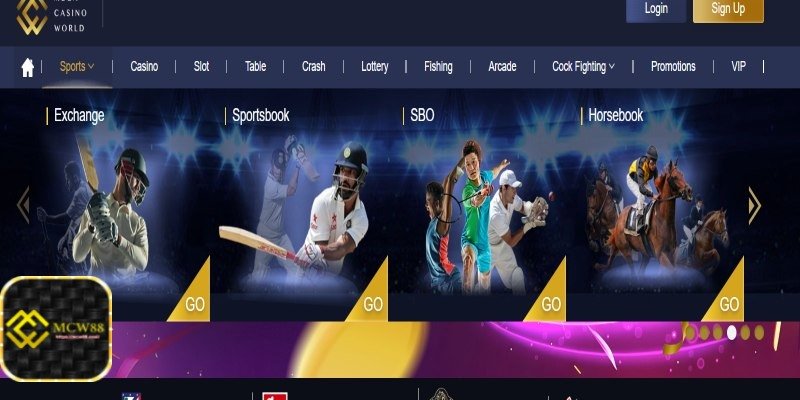 Action-Packed Sports Betting