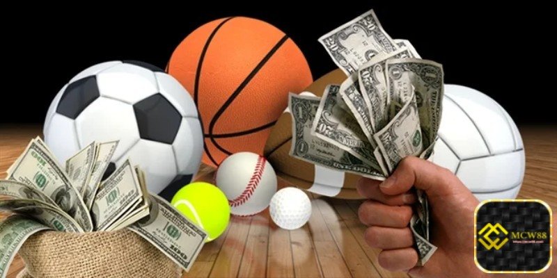 Licensed by Reputable Betting Authorities