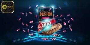 Professional Live Dealers