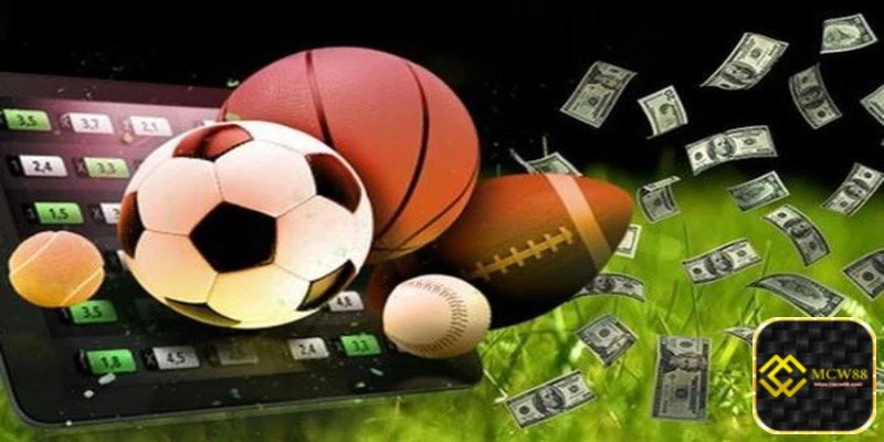 Understanding What Online Sports Betting Is at MCW88