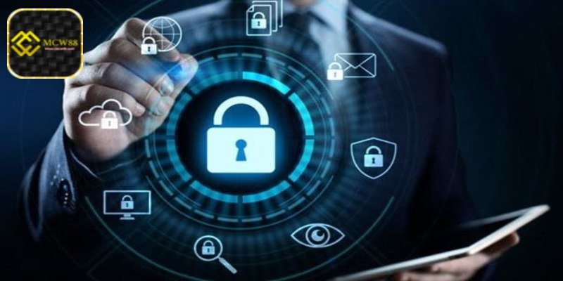 What Are MCW88 Privacy Policy Terms? What Is Their Role?